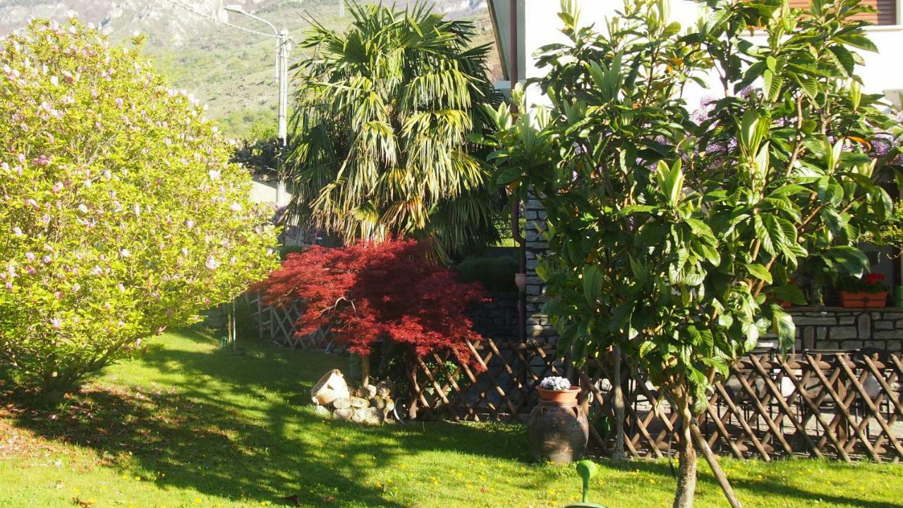 Apartamento La Casa Dei Nonni Bussoleno Exterior foto